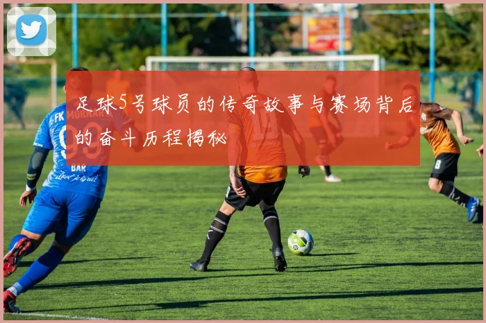 足球5号球员的传奇故事与赛场背后的奋斗历程揭秘