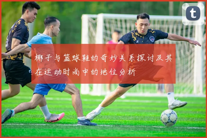 椰子与篮球鞋的奇妙关系探讨及其在运动时尚中的地位分析