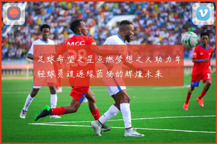 足球希望之星点燃梦想之火助力年轻球员追逐绿茵场的辉煌未来
