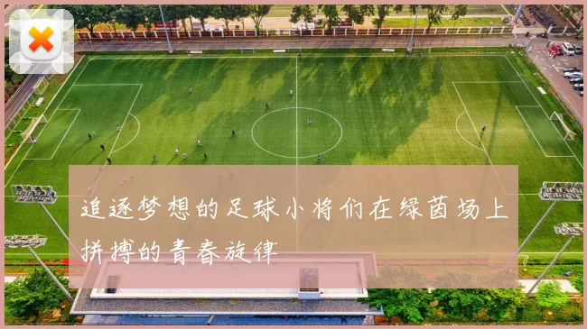 追逐梦想的足球小将们在绿茵场上拼搏的青春旋律