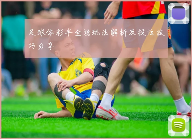 足球体彩半全场玩法解析及投注技巧分享